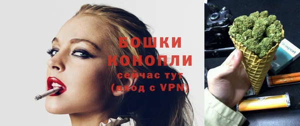 шишки Володарск