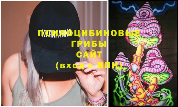сатива Верхний Тагил