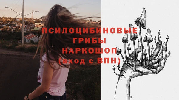 apvp Россошь