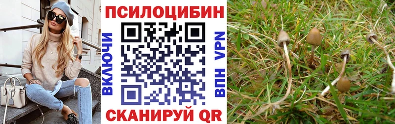 Галлюциногенные грибы Magic Shrooms  Калач 